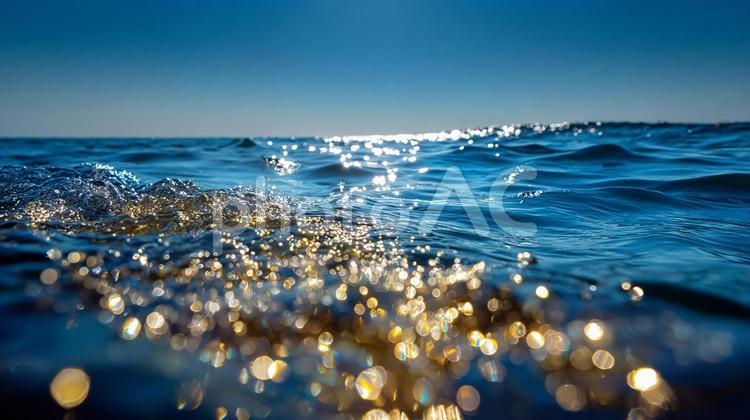 夕焼けに染まる、金色に輝く海の景色 海,水面,太陽の写真素材