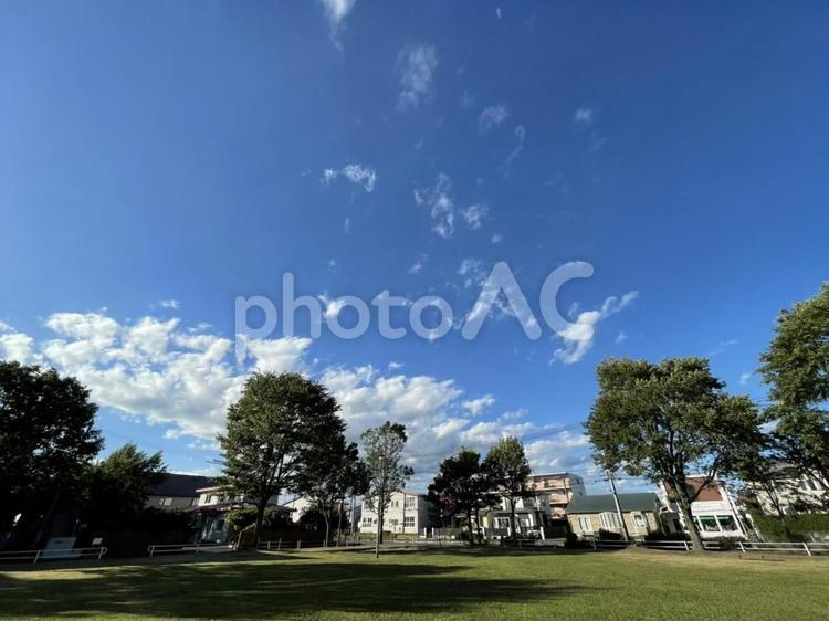 公園の風景　13397 公園の風景,公園,風景の写真素材