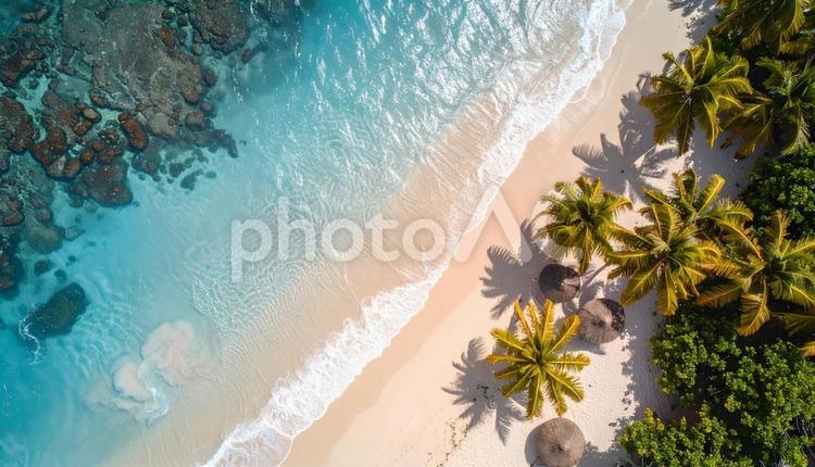 真上から見た南国リゾート地の海岸 海,ビーチ,砂浜の写真素材