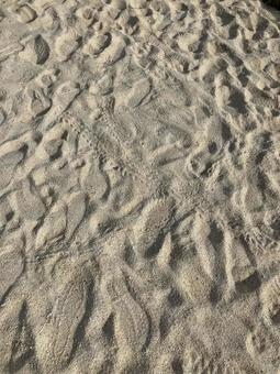 砂浜 足跡 砂浜 足跡の写真