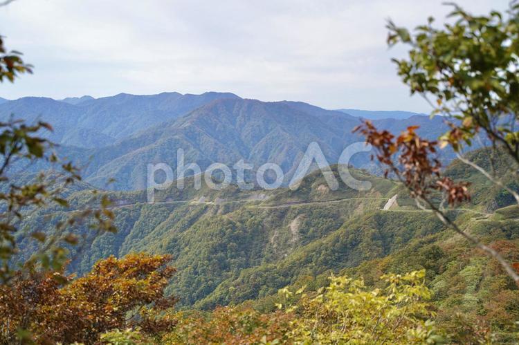 遠く続く山道と深緑の絶景① 山,自然,風景の写真素材