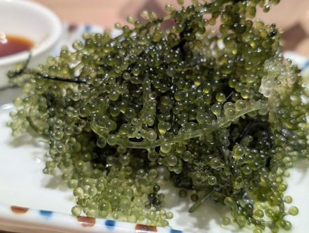 海ぶどう 海ぶどう,うみぶどう,おいしいの写真素材