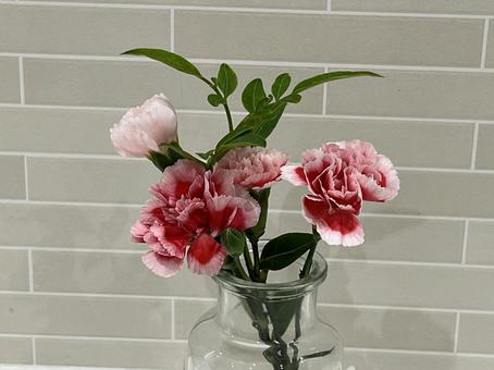 カーネーション 花瓶 カーネーション 花瓶 フラワーアレンジメント,母の日,花の写真素材