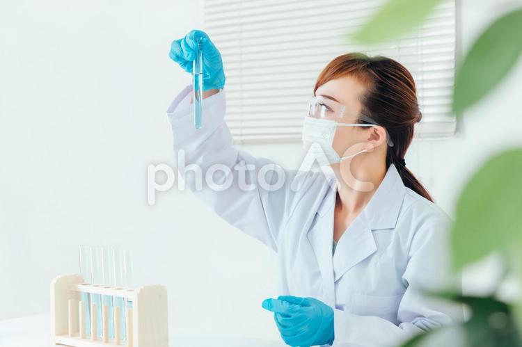 研究・科学者イメージ 研究,温度,実験の写真素材