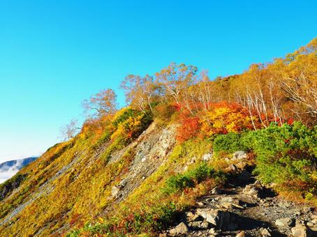 北アルプス・八方山、唐松岳 北アルプス・八方山、唐松岳 八方山,唐松岳,北アルプスの写真素材