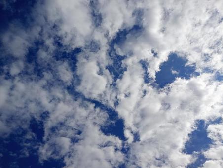 秋の空 空,晴れ,天気の写真素材