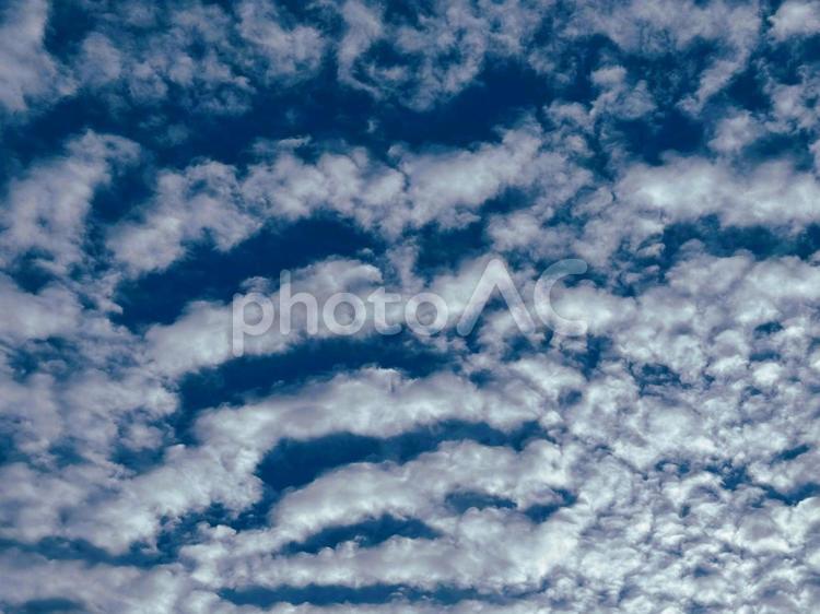 冬の朝の縞模様の雲2 空,自然,バックグランドの写真素材
