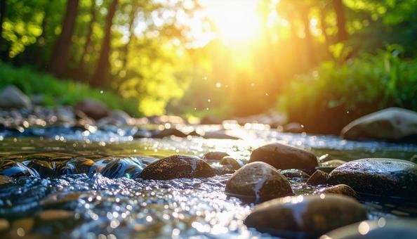 清流きらめく森の小川 清流きらめく森の小川の写真
