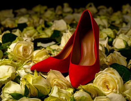 ハイヒールと薔薇の花(大人っぽい色) ハイヒールと薔薇の花(大人っぽい色)の写真