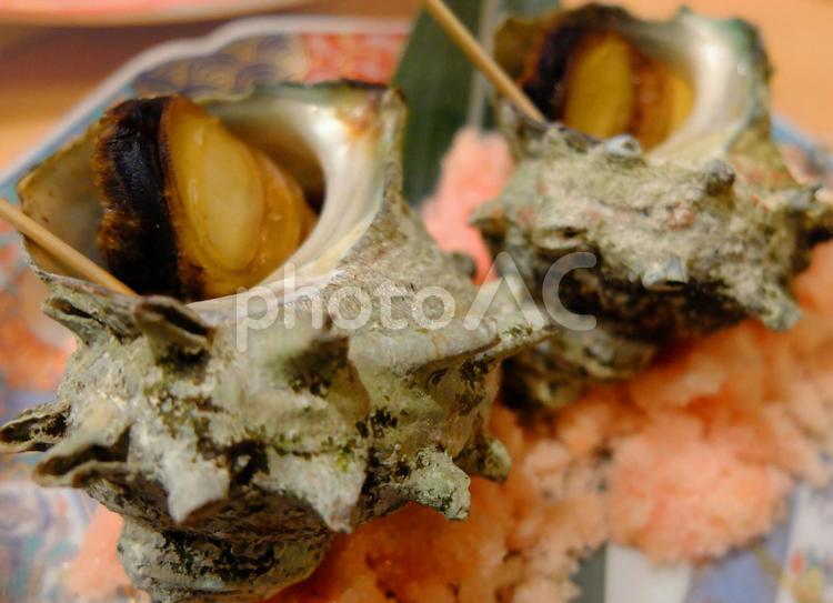さざえのつぼ焼き さざえ,居酒屋,魚介類の写真素材