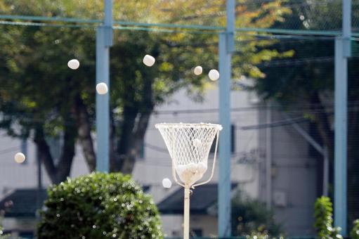 運動会の玉入れ合戦 玉入れ,たま入れ,かごの写真素材