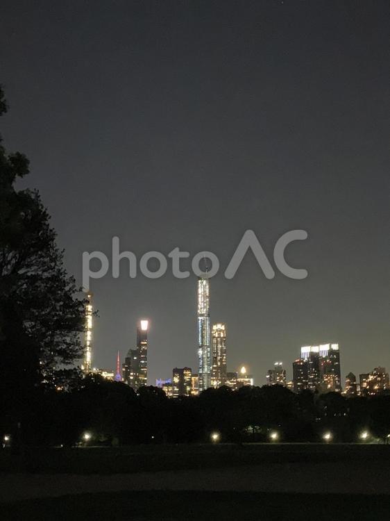 セントラルパークから見たニューヨークの夜景 ニューヨーク,セントラルパーク,アメリカの写真素材