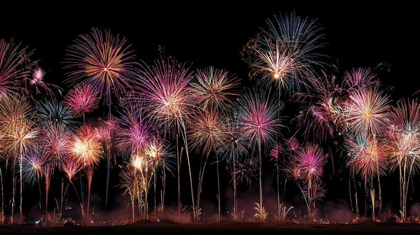カラフルな花火の夜 カラフルな花火の夜の写真