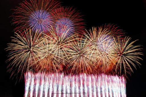 花火 花火の写真