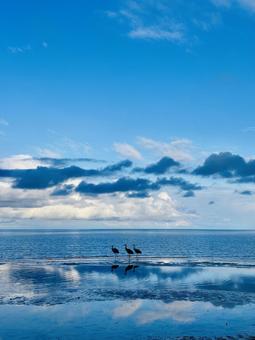水鳥と湖 水鳥と湖 景色,湖,鳥の写真素材