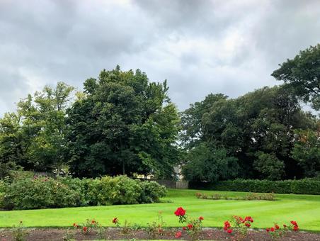アイルランド、キルケニーの城の庭 アイルランド、キルケニーの城の庭 海外,アイルランド,キルケニーの写真素材