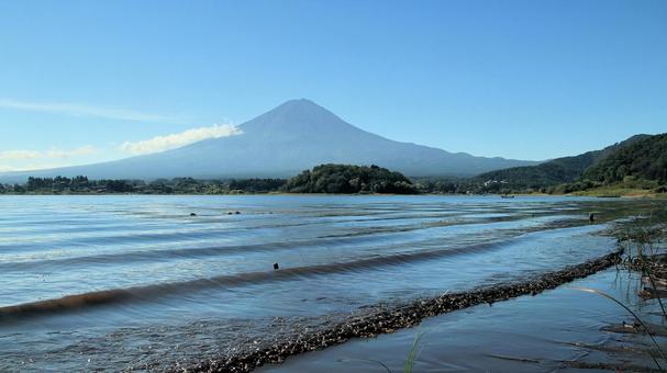 初秋の河口湖大石公園から望む富士山 初秋の河口湖大石公園から望む富士山の写真