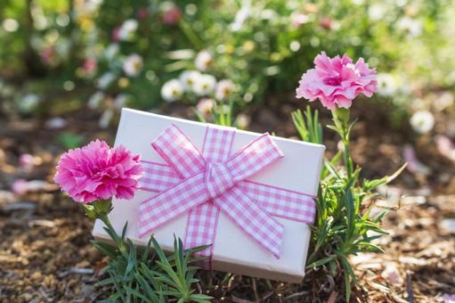Carnations and presents 2, JPG Carnations and presents 2, JPG