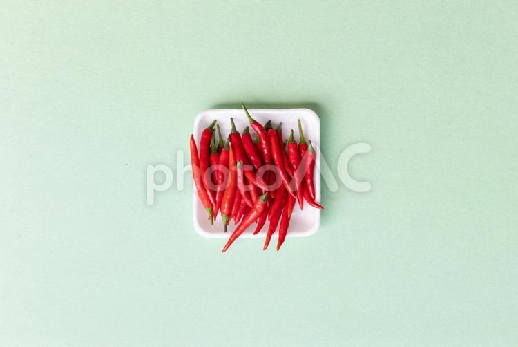 中央の食品トレーに赤唐辛子 赤唐辛子,野菜,食べ物の写真素材