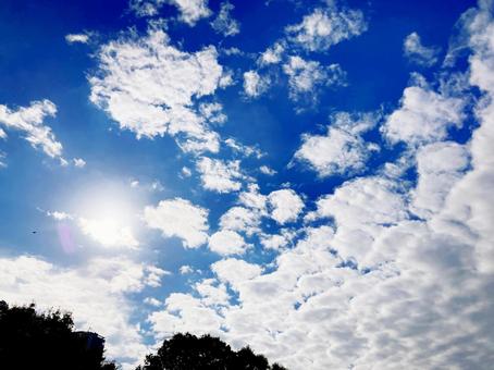秋空 秋空,秋,オータムの写真素材