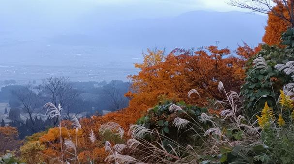 魚沼スカイラインの紅葉 紅葉,魚沼スカイライン,早朝の写真素材