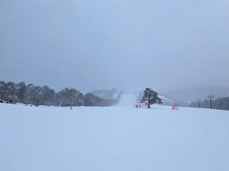 ゲレンデ ゲレンデ スキー場,スキー,スノーボードの写真素材