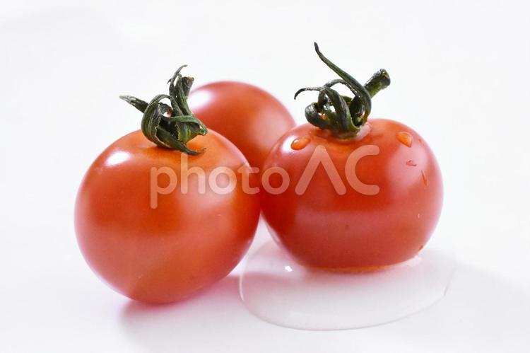 フレッシュなトマト　真っ赤で甘くておいしいとまと トマト,とまと,プチトマトの写真素材
