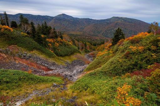 八甲田山 谷と櫛ヶ峯の秋 八甲田山 谷と櫛ヶ峯の秋 秋,紅葉,黄葉の写真素材