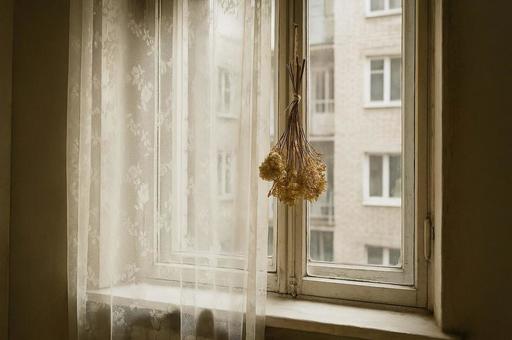 窓辺のドライフラワーとレース・切なさの写真