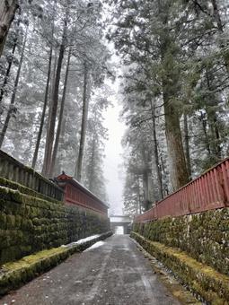 冬の日光東照宮 冬の日光東照宮 木々,雪,参道の写真素材