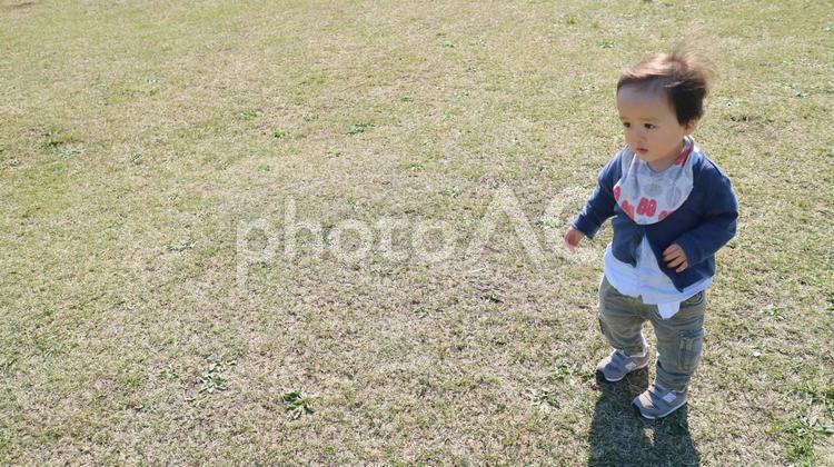 子供と公園０７ 子供,子ども,こどもの写真素材
