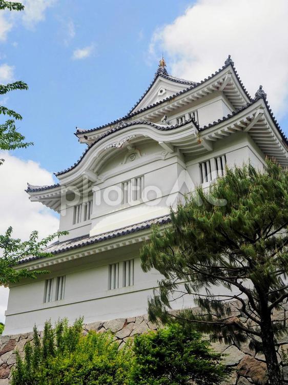 初夏の大多喜城・天守閣と新緑の木・千葉県 初夏,大多喜城,新緑の写真素材