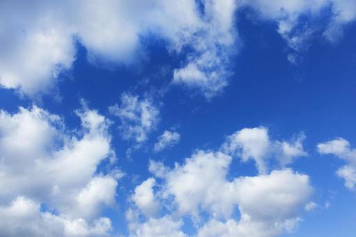秋の空35 秋の空35の写真