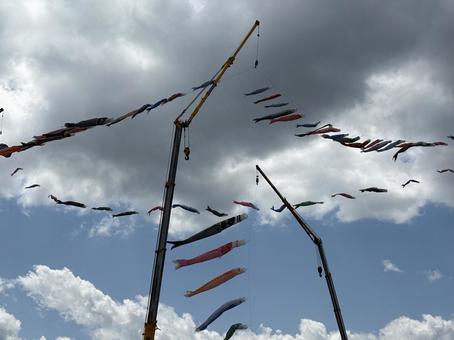 carp streamer, JPG carp streamer, JPG