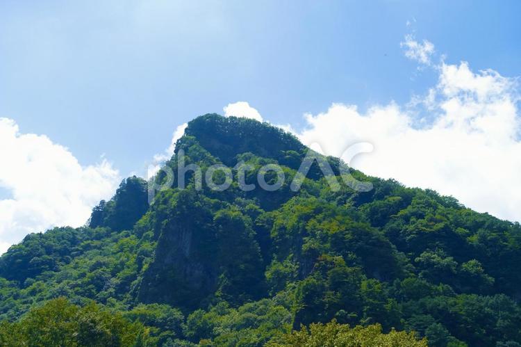 緑の木々が生い茂る夏の山 山,緑,風景の写真素材