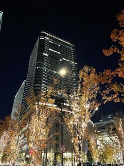 大阪・街並み・夜景 大阪,夜景,夜の写真素材