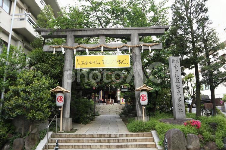 金刀比羅宮　東京分社  水道橋,金刀比羅神社,鳥居の写真素材