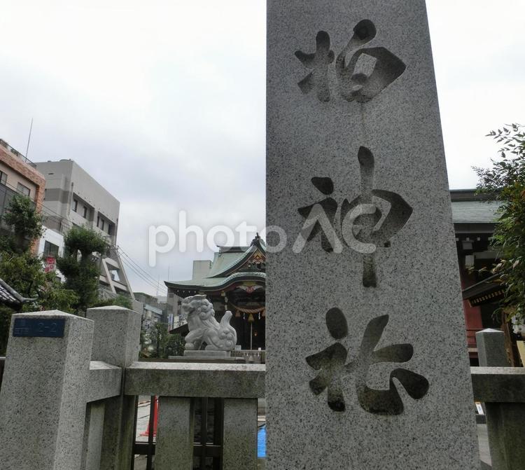 柏神社の風景-1 柏神社,千葉県柏市,天王様の写真素材