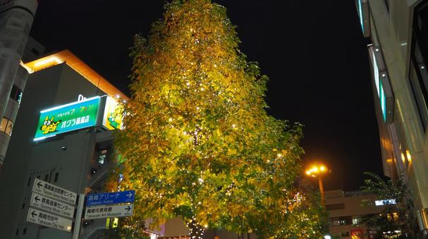 冬の高崎駅前・クリスマスイルミ（高崎市） クリスマス,イルミネーション,冬の写真素材