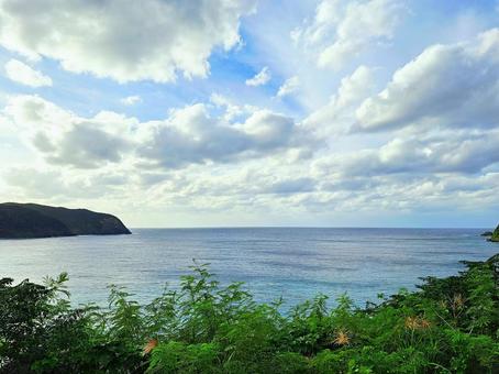 奄美大島　国直　海 奄美大島,奄美,海の写真素材