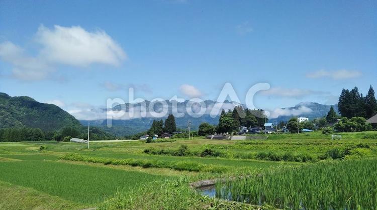 初夏の田園風景 風景,屋外,背景素材の写真素材