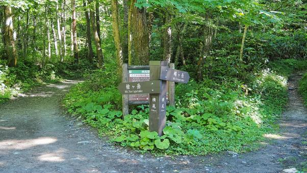槍ヶ岳と蝶ヶ岳の分岐点 槍ヶ岳と蝶ヶ岳の分岐点 山,登山,槍ヶ岳の写真素材
