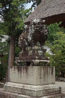 パワースポット 滋賀県 蜊江神社⑥ 狛犬 パワースポット 滋賀県 蜊江神社⑥ 狛犬の写真