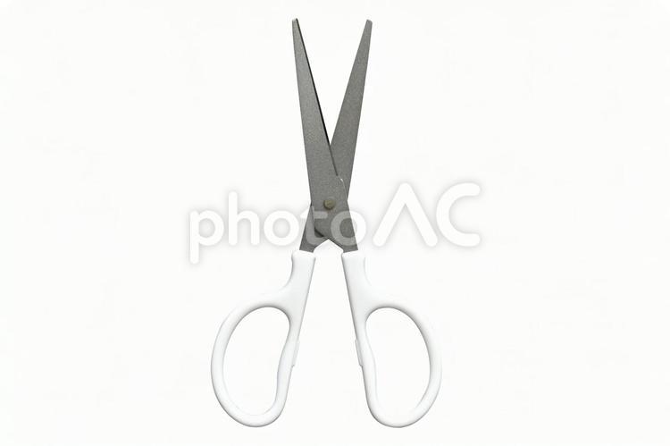 はさみ　切り抜き はさみ,文房具,文具の写真素材