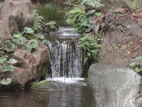 小さな滝 滝,日本庭園,六義園の写真素材