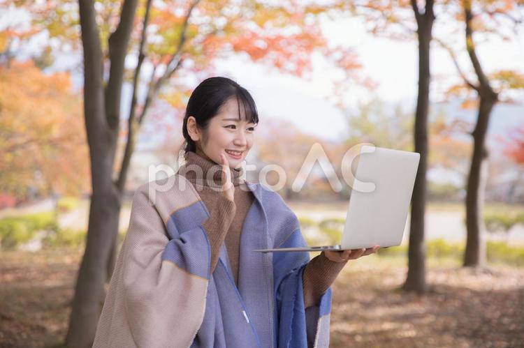 秋の公園でパソコンを使う女性 テレワーク,ノートパソコン,リモートワークの写真素材