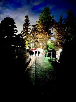 成田山新勝寺 成田山新勝寺の写真