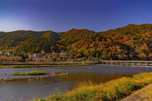 京都　嵐山　渡月橋　紅葉 嵐山,渡月橋,桂川の写真素材