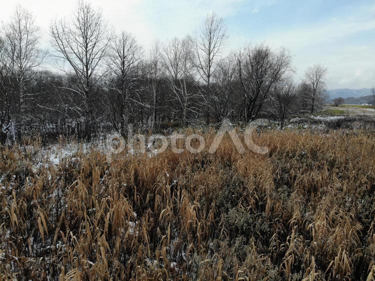 冬の河川敷 冬,雪,田舎の写真素材
