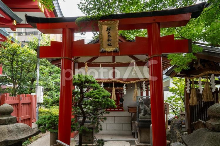 大阪　御霊神社　松ノ木神社と大黒社 御霊神社,御霊,神社の写真素材